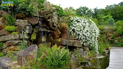 NaturaGart Nachrichten 29.6.2023