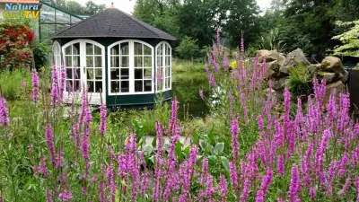 NaturaGart Nachrichten 11.9.2023