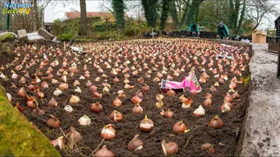 NaturaGart Nachrichten 13.2.2024