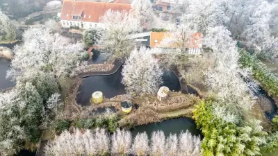 NaturaGart Nachrichten 20.03.2025