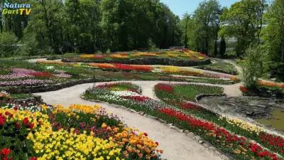 Frühlingsblüte im NaturaGart-Park 2025