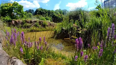 Braucht man eine Genehmigung für Teichbau?