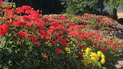 Pflanzen und Tiere