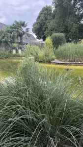 NaturaGart Teiche Artenschutz Biotopverbund und Natur im Garten