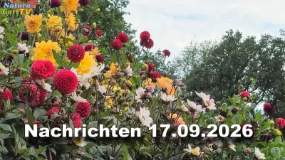 NaturaGart Nachrichten 17.09.2026
