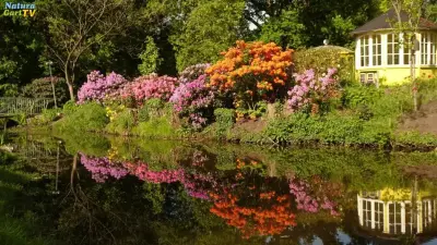 NaturaGart Nachrichten 25.5.2022