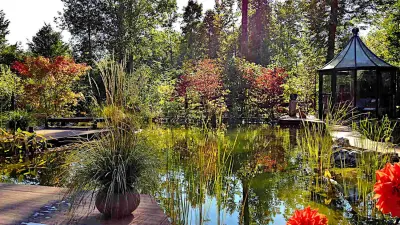 Technik Natur und Kosten im Teichbau