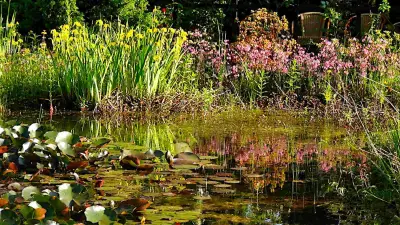 Langlebige Materialien im Teichbau