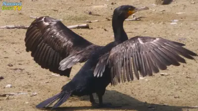 NaturaGart Nachrichten 6.9.2018