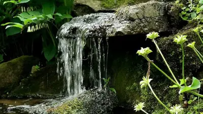 Bachumfeld Sortimente