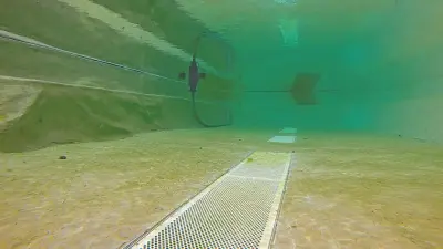 Schwimmteich-Selbstbau