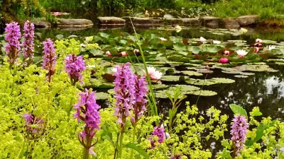 Verantwortungsvolle Teichplanung