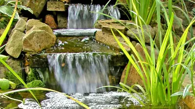 Quelle & Bachlauf - bewegtes Wasser im Garten