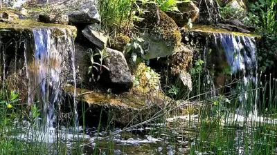 Kurz-Info - Warum braucht man Teich-Technik?