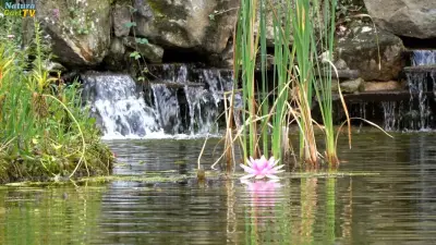 NaturaGart Nachrichten 10.10.2022
