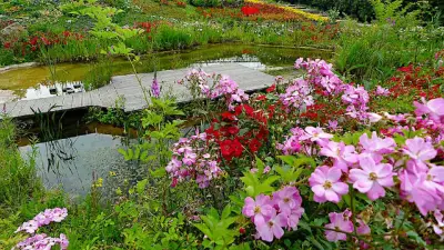 Teichumfeld Sortimente