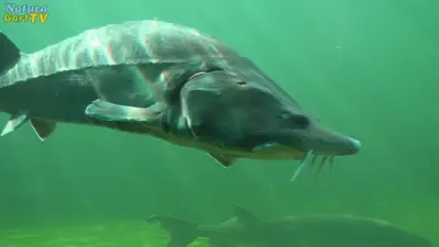 NaturaGart Teiche und Lebensräume erleben