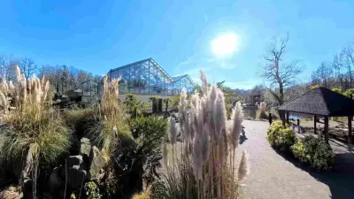 Videos der Woche - 2025