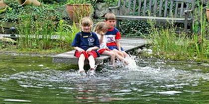 Teichbeispiele und Preise