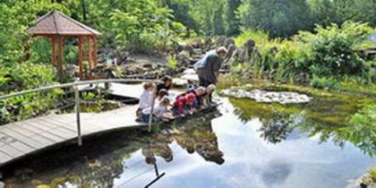 Teich planen und bauen