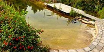 Schwimmteich 50 m³