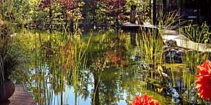 Schwimmteich 100 m³