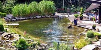 Schwimmteich 200 m³