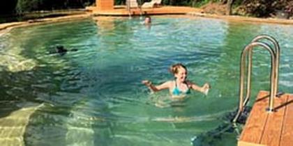 Schwimmteich 300 m³