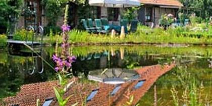 Schwimmteich 400 m³