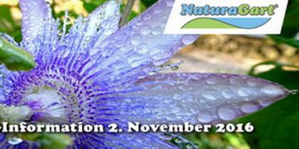 Newsletter und Archiv