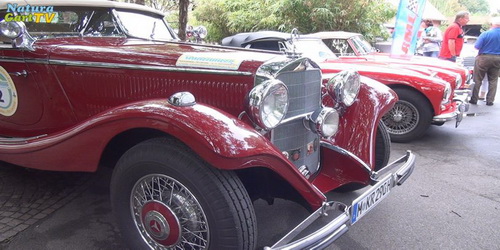 NaturaGart Oldtimer Treff 2016