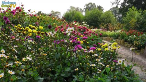 NaturaGart Nachrichten 26.9.2024