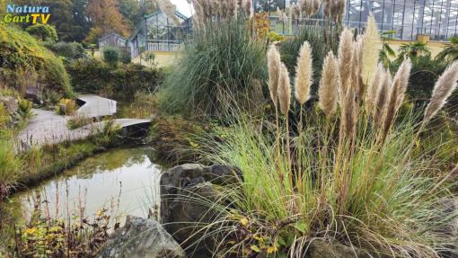 NaturaGart Nachrichten 24.10.2024