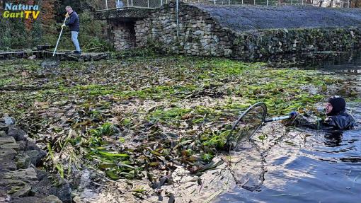 NaturaGart Nachrichten 29.11.2024