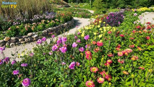 NaturaGart Nachrichten 14.08.2025