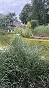 NaturaGart Teiche Artenschutz Biotopverbund und Natur im Garten