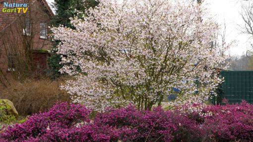 NaturaGart Nachrichten 31.03.2026