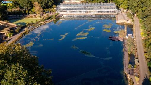 NaturaGart Unterwasserpark - Sichtweiten 10-20 m