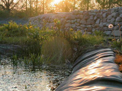 Teiche planen, bauen, pflegen - Tipp 6