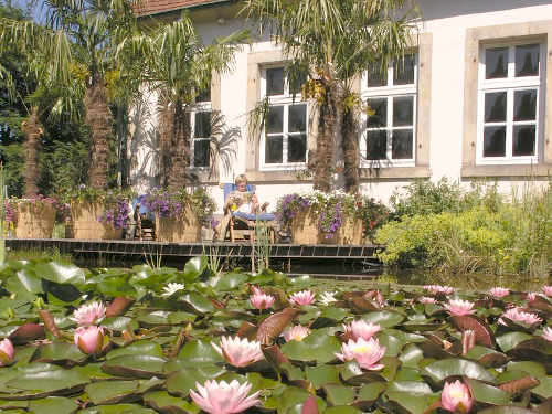 Juli - Urlaubszeit - rechtzeitig an den Garten denken