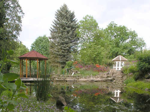 Teiche planen, bauen, pflegen - Tipp 19