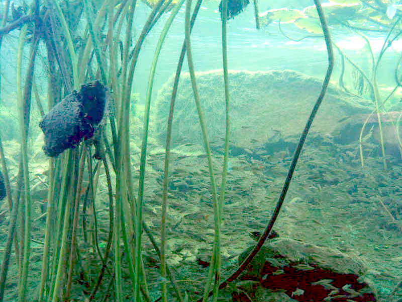 Wir haben es fast geschafft – Neues vom Tauchen