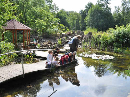 Teich planen, bauen, pflegen - Tipp 20