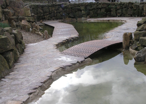 Teichanlage mit Steg