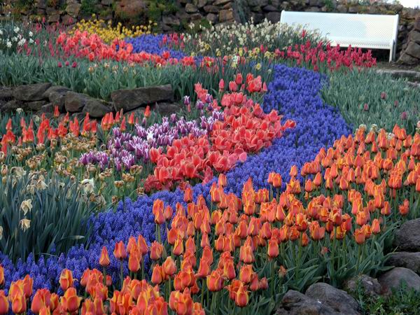 Die Frühlingsblüte wieder beeindruckend