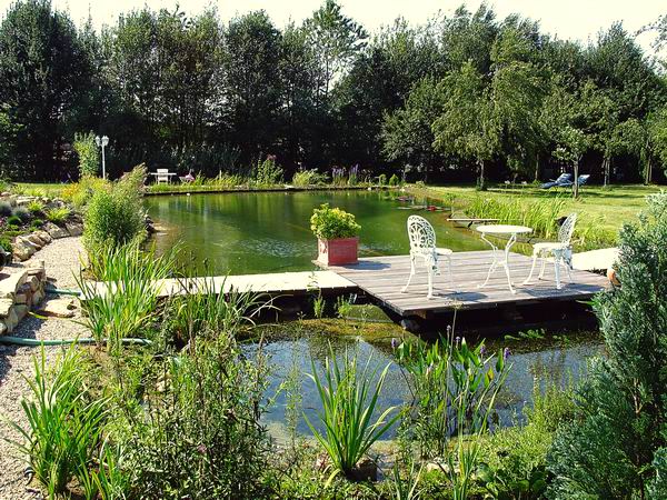 NaturaGart-Gartenteich: Unsterblich
