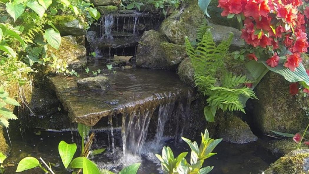 Füllwasser für Teiche NaturaGart TV So füllen Sie den Teich richtig