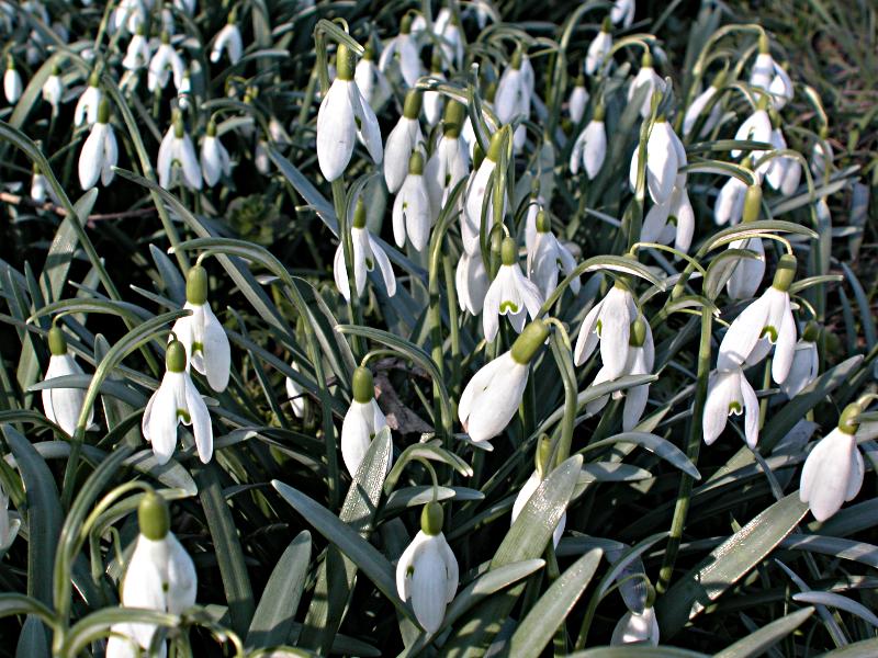 Der Frühling kommt. Verspätet, aber er kommt