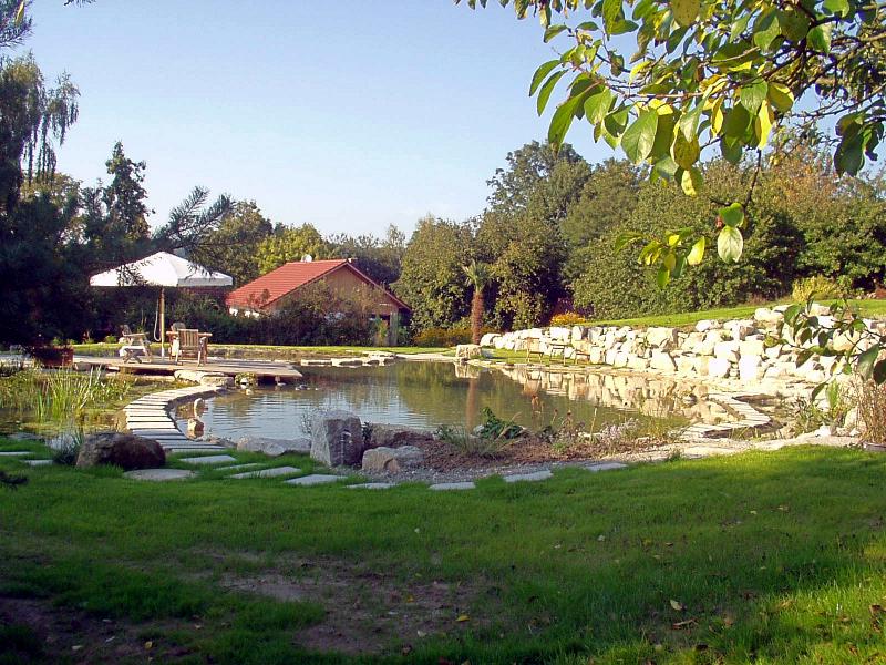 Ein Schwimmteich - Von der Idee bis zur Verwirklichung