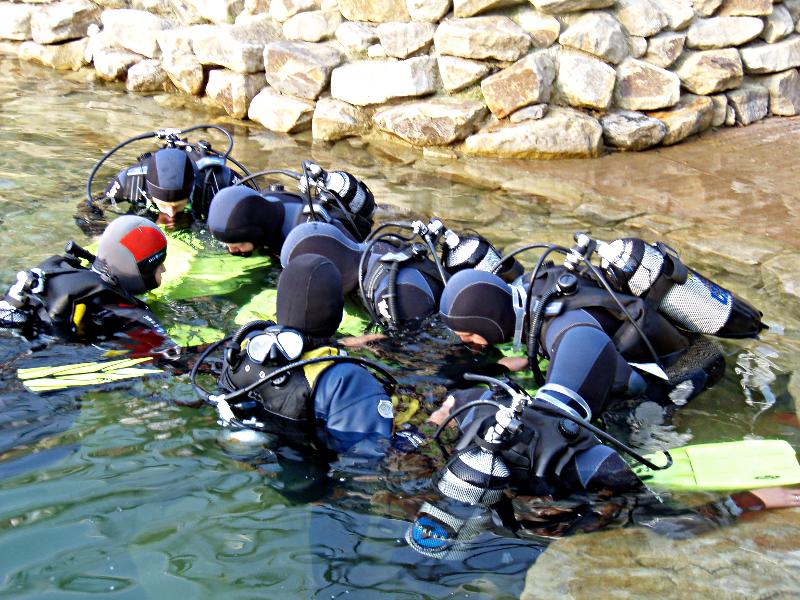 Tauchkurstermine 2012 für International Aquanautics Club OWD/ CMAS*